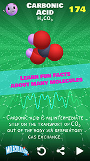 Screenshot - Learn Fun Facts